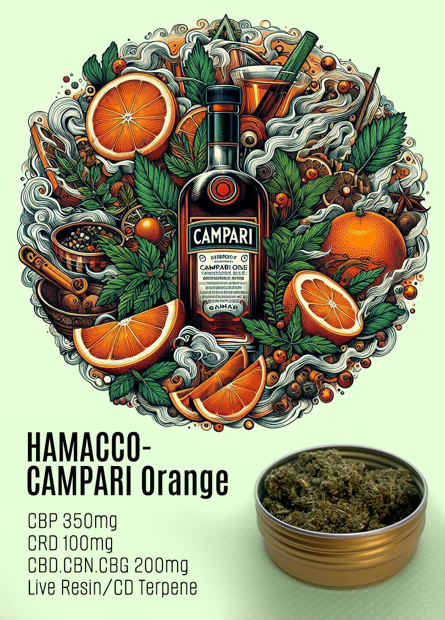 HAMACCO CAMPARI Orange